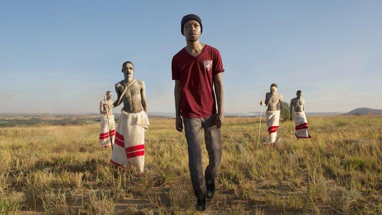 The Wound image