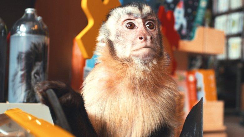 Akiko, the Flying Monkey image