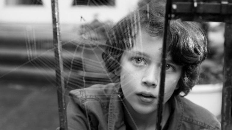 Spiderwebhouse image