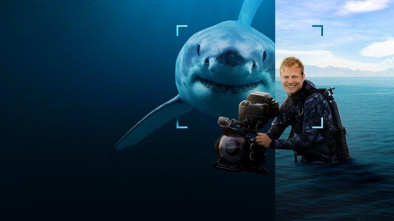 Sharks Up Close with Bertie Gregory image