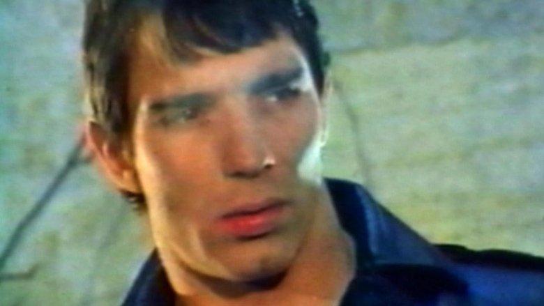 Mondo Homo: A Study of French Gay Porn in the '70s image