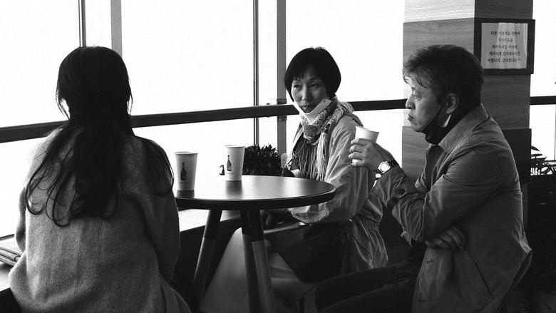 The Novelist's Film image