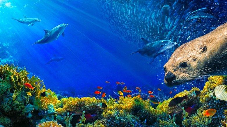 Oceans: Our Blue Planet image