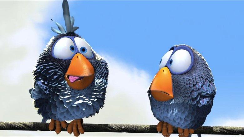 For the Birds image