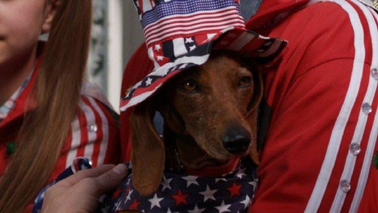 Wiener Dog Internationals image