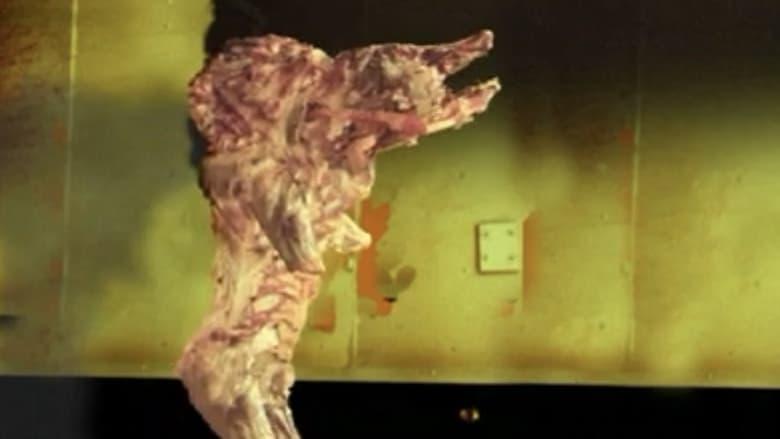 The Pig Walks image