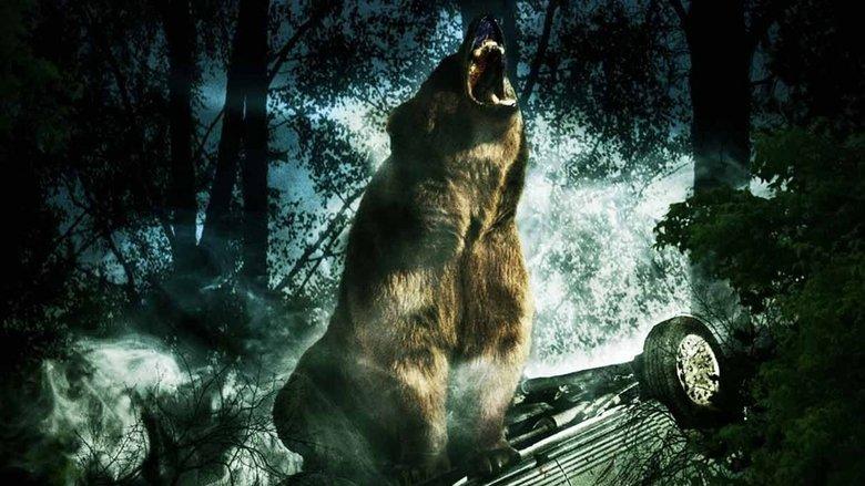 Bear image