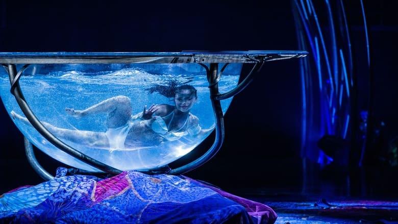 Cirque du Soleil: Amaluna image