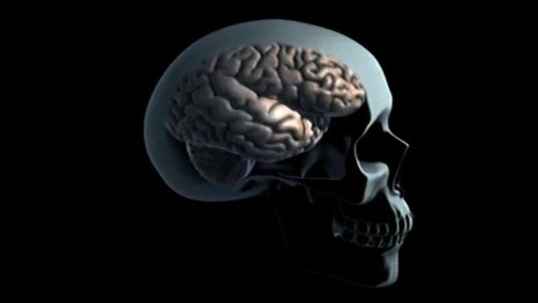 Drugs and Brain image