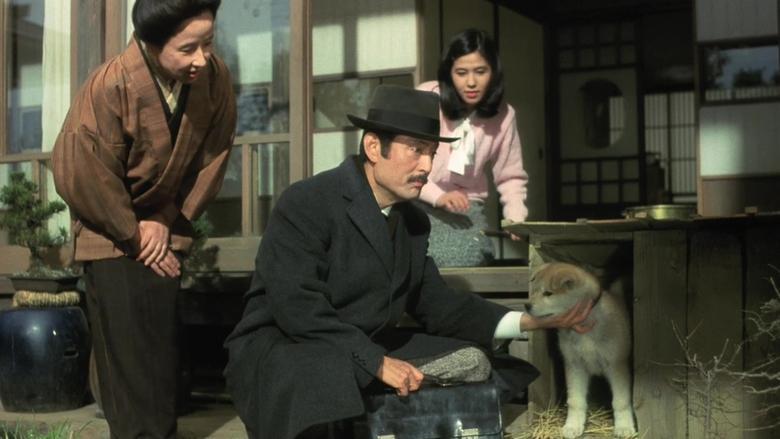 Hachiko image