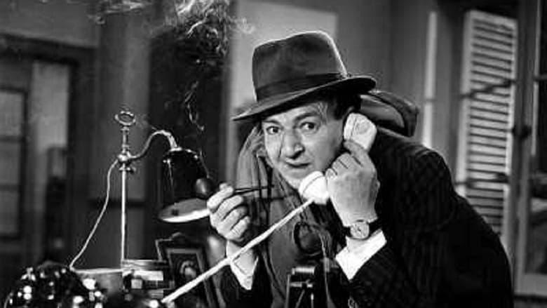 Maigret image