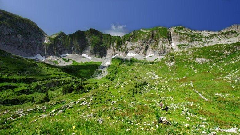 Wild Switzerland image