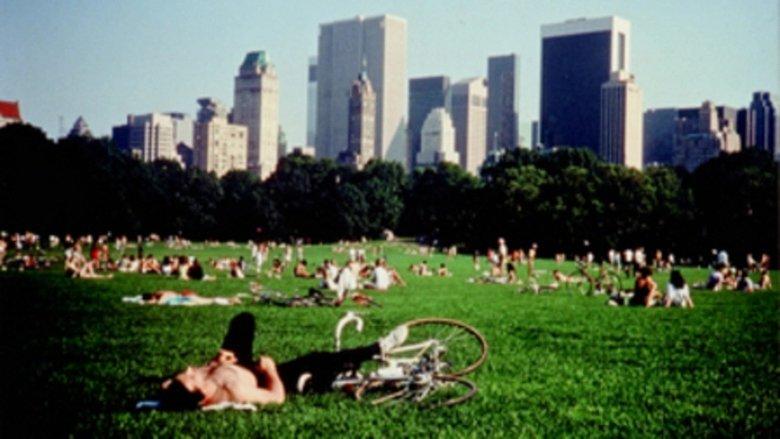 Central Park image