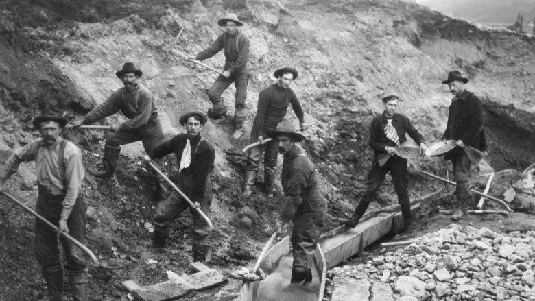 The Gold Rush image
