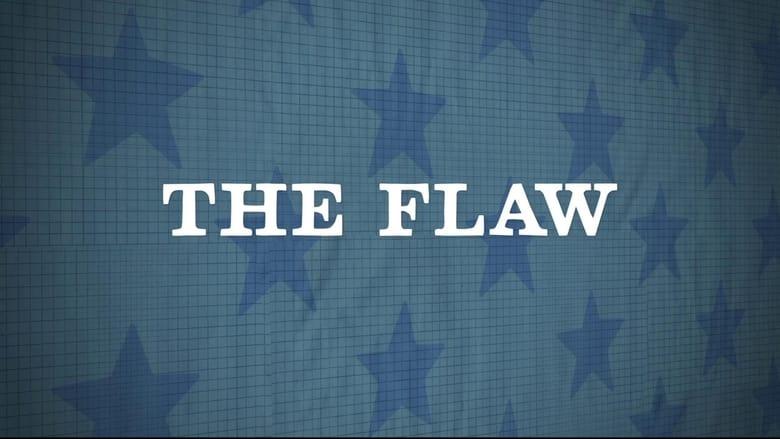 The Flaw image