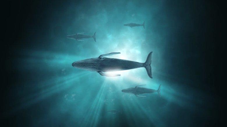 Sonic Sea image