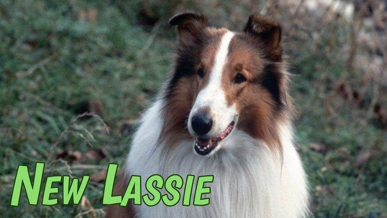 The New Lassie image