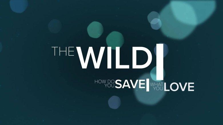 The Wild image