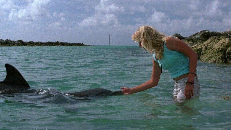 Eye of the Dolphin image