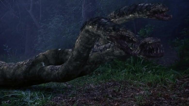 Hydra image