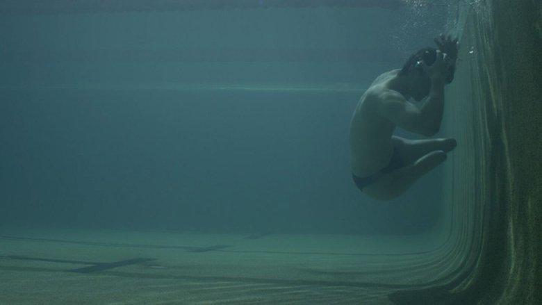 Diving In image