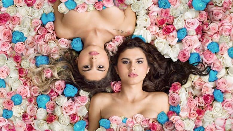 Transgender Twins image