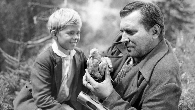 The Song of the Grey Pigeon image