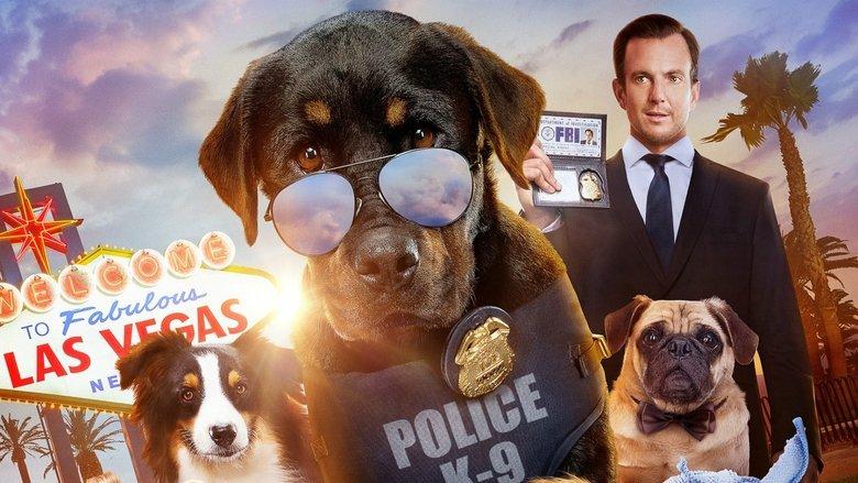 Show Dogs image