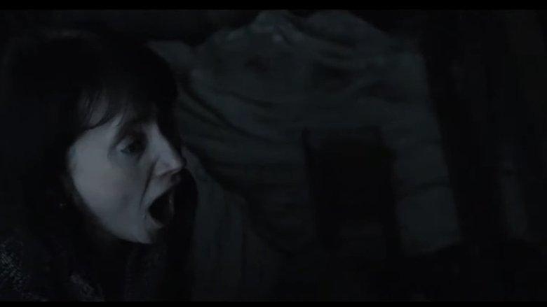 Bats image