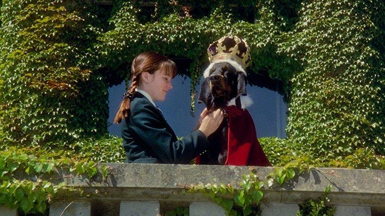 The Duke image