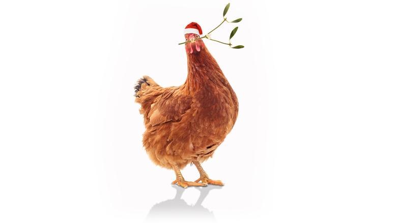 Feather Christmas image