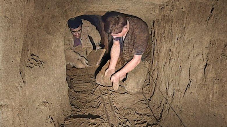Tunnel to Freedom image