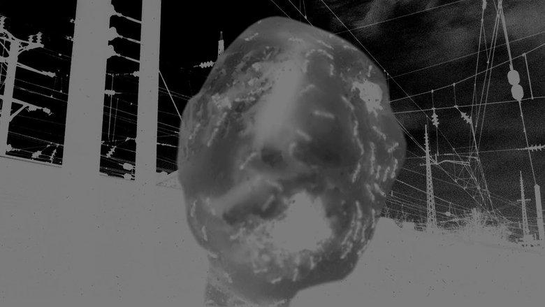 Ant Head image