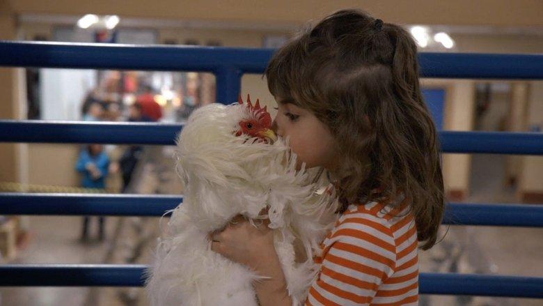 Chicken People image