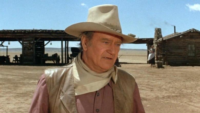 The Cowboys image