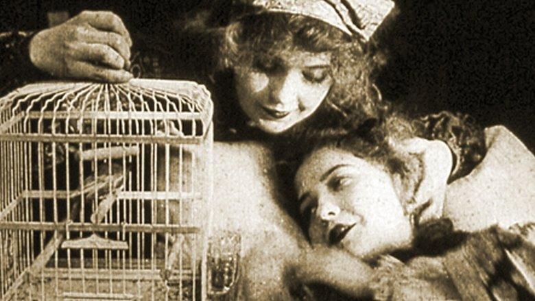 The Lady and the Mouse image