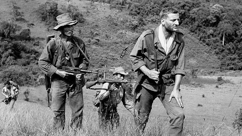The 317th Platoon image