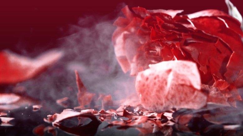 Shattered Hearts image