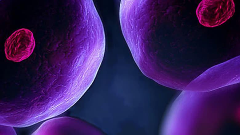 The Cell image