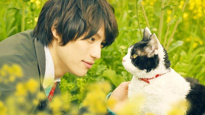The Travelling Cat Chronicles image