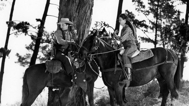 Cyclone on Horseback image