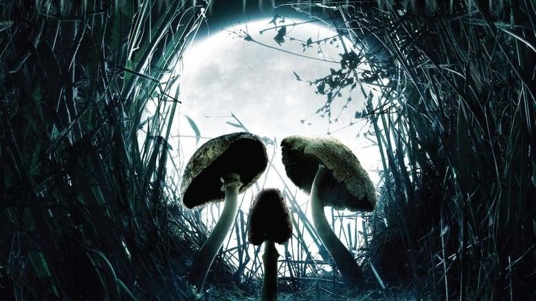 Shrooms image
