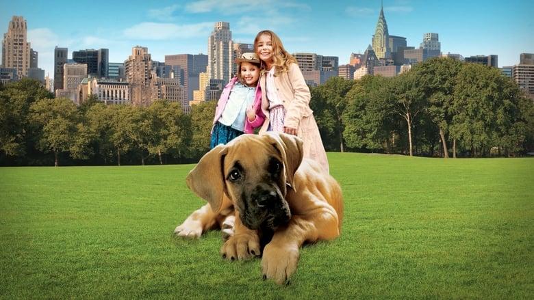 Chestnut: Hero of Central Park image