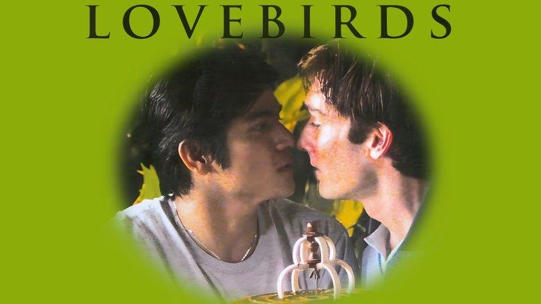 Lovebirds image