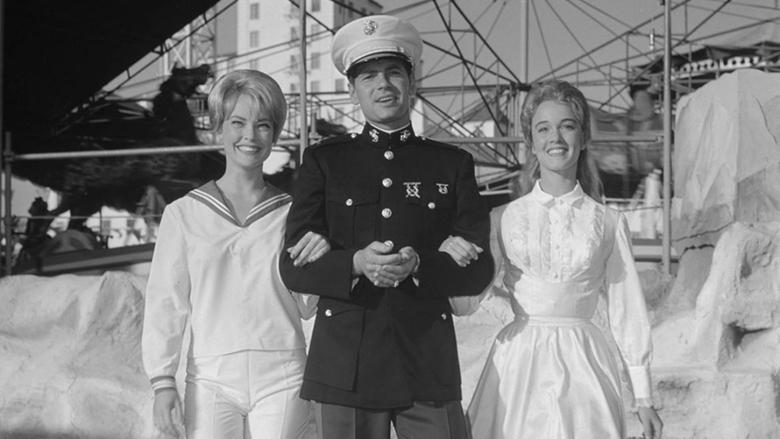 The Lieutenant image