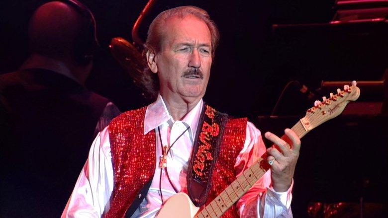 Elvis Lives: The 25th Anniversary Concert image