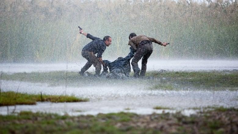 Marshland image