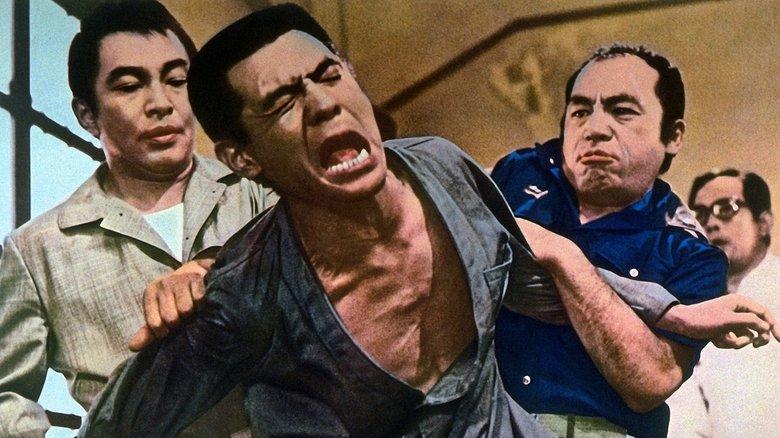 The Viper Brothers Rage Again image