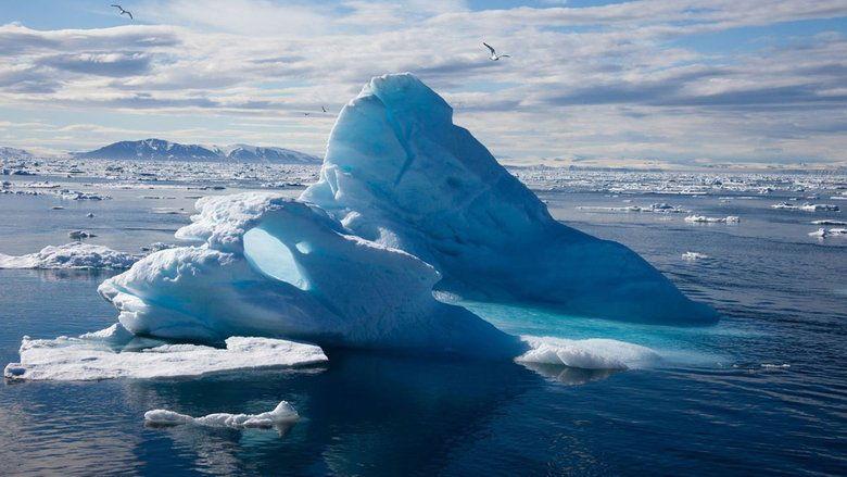 To the Arctic 3D image