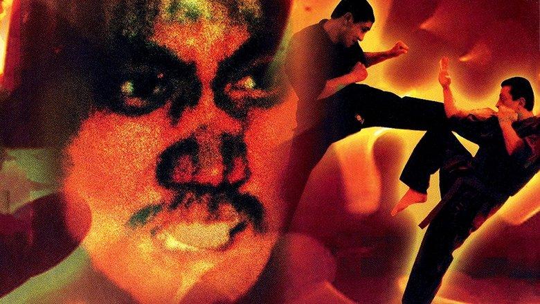 The Shaolin Chief Cook image